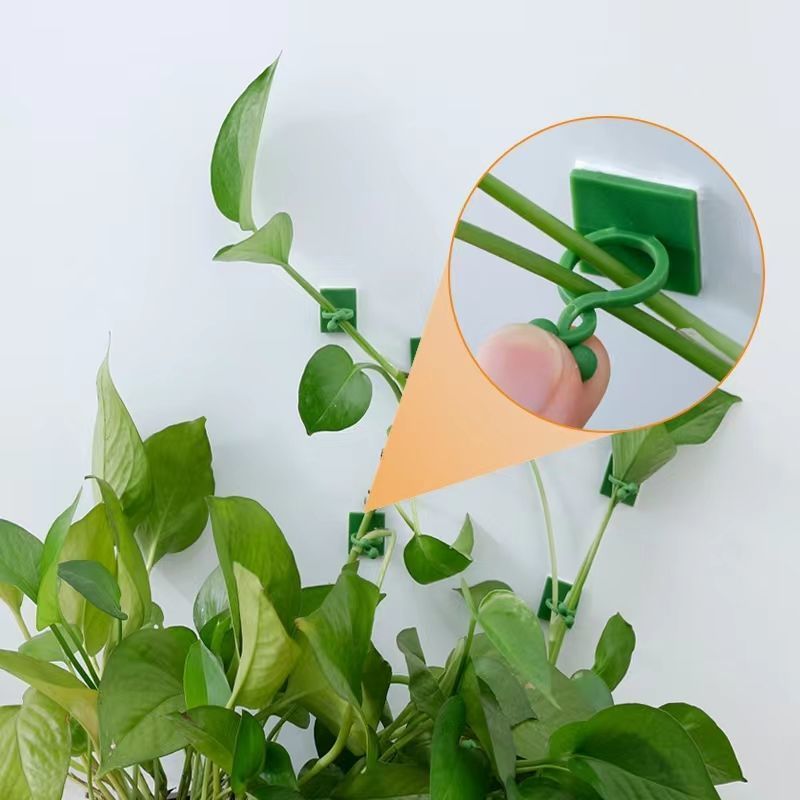 คลิปยึดต้นไม้แบบมีกาวในตัวสำหร - Smart Garden Storage บทวิจารณ์และราคา